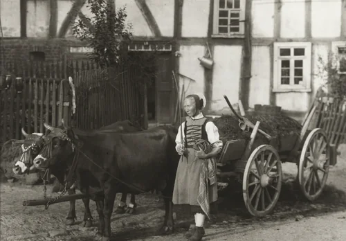 Farm Girl, Hesse by August Sander, photograph, 1913