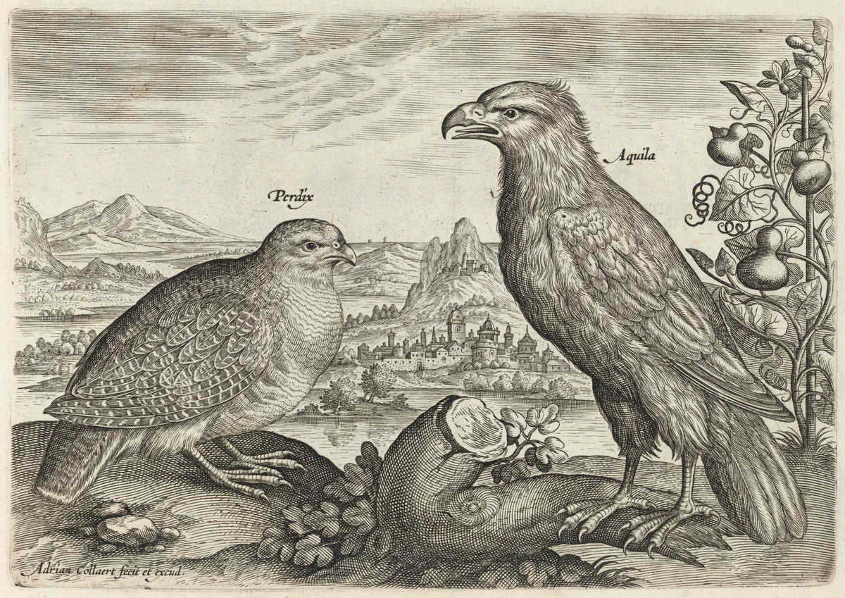 Partridge and Eagle by Adriaen Collaert, print, 1595-1605