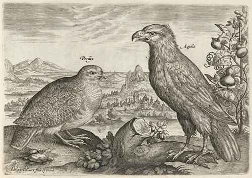 Partridge and Eagle by Adriaen Collaert, print, 1595-1605