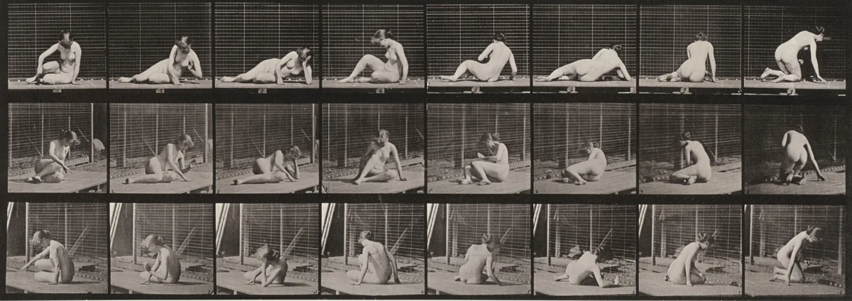 Plate Number 266. Turning and changing position while on the ground by Eadweard Muybridge, photograph, 1887