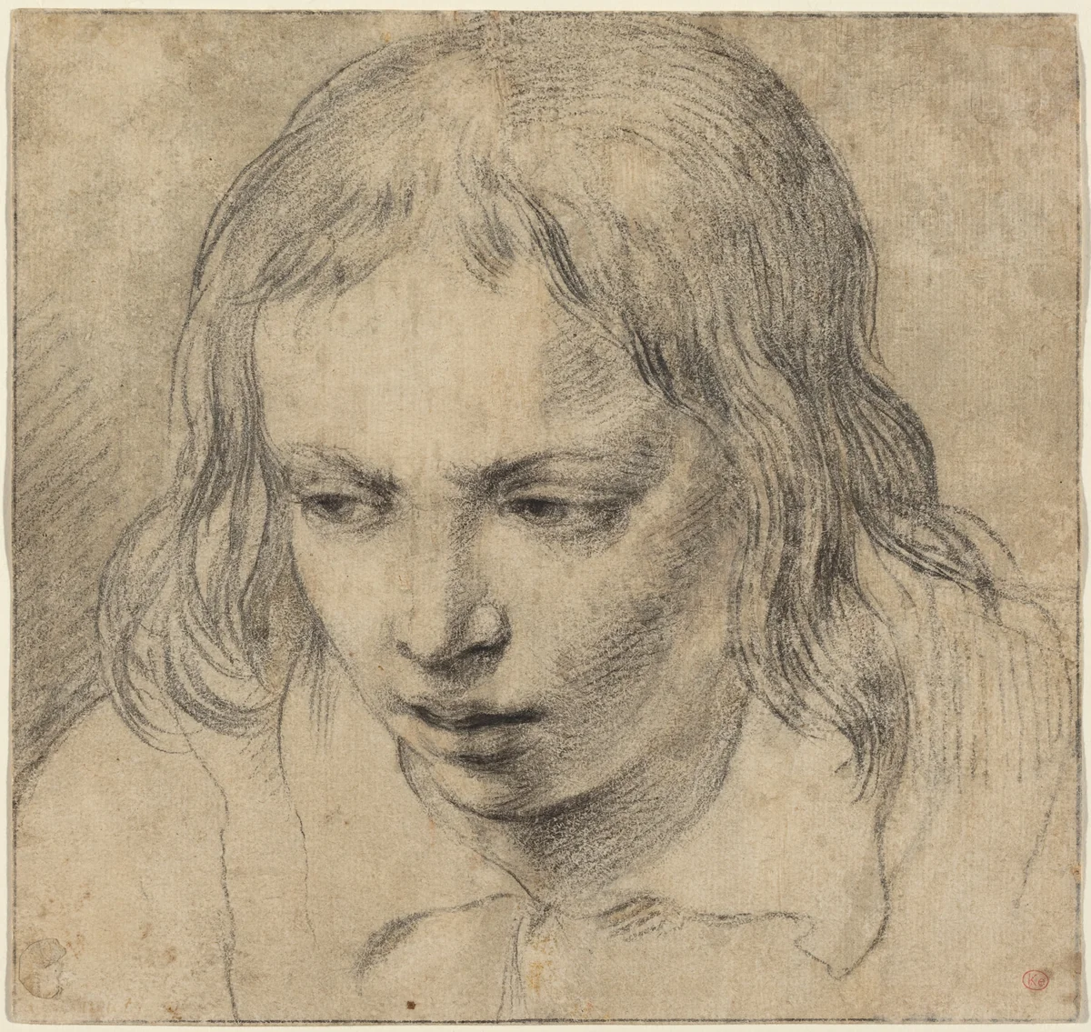 Head of a Young Man [recto] by Dutch 17th Century, drawing, 1650