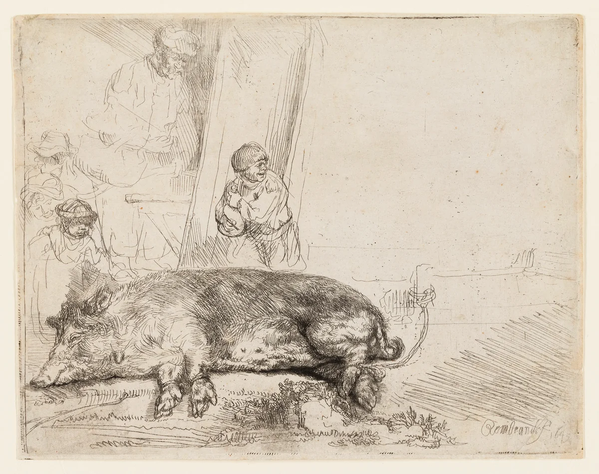 The Hog by Rembrandt van Rijn, print, 1643