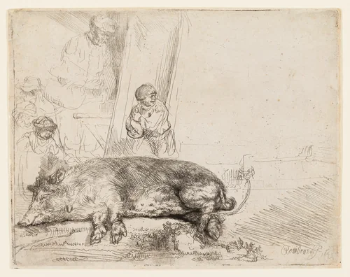 The Hog by Rembrandt van Rijn, print, 1643