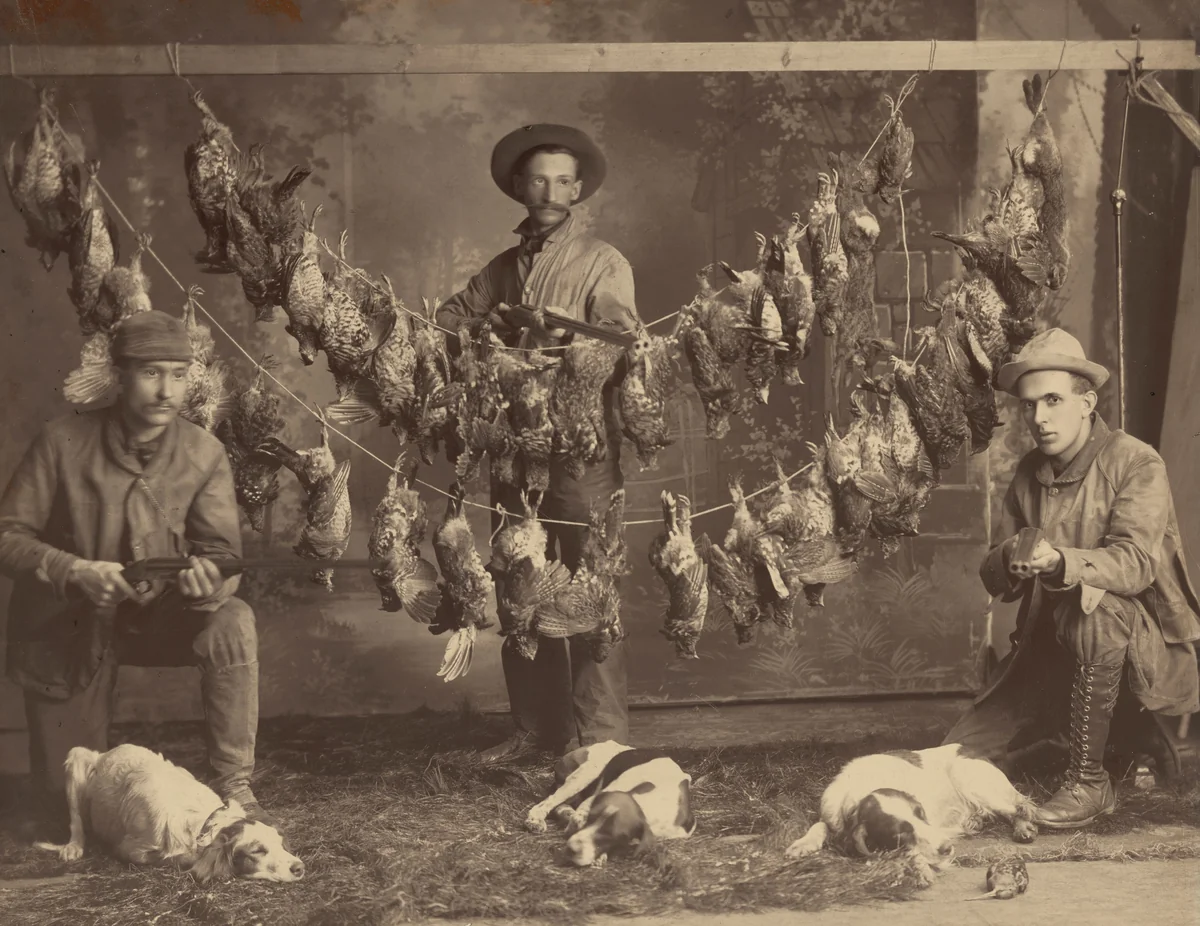 Portrait of Three Hunters, Dogs and Game by American 19th Century, photograph, 1865-1875