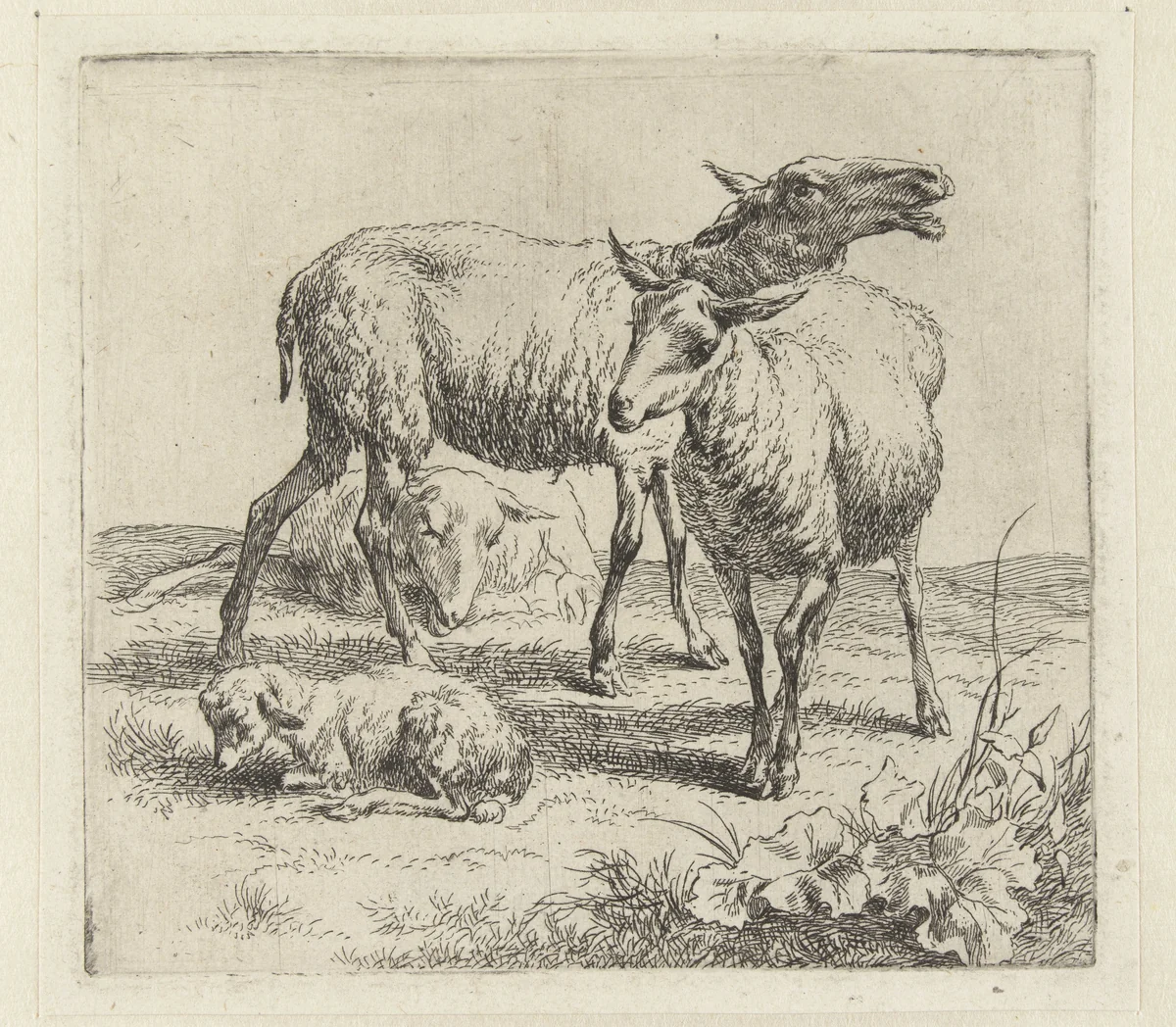 Blatend schaap tussen twee schapen en een lam by Nicolaes Pietersz Berchem, print, 1646-1652