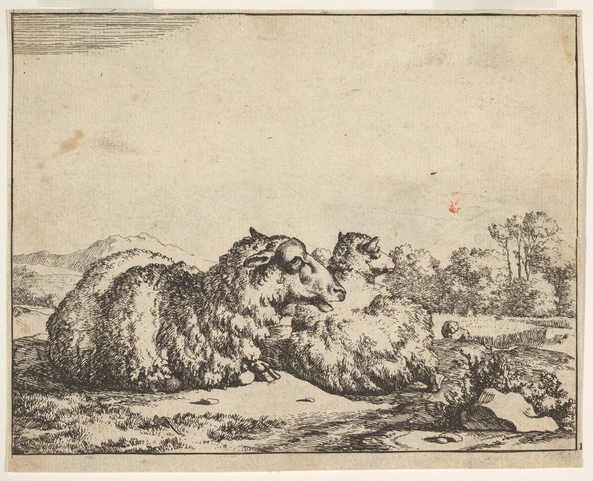 Sheep, from a set of 16 plates by Marcus de Bye, print, 1664