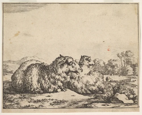 Sheep, from a set of 16 plates by Marcus de Bye, print, 1664