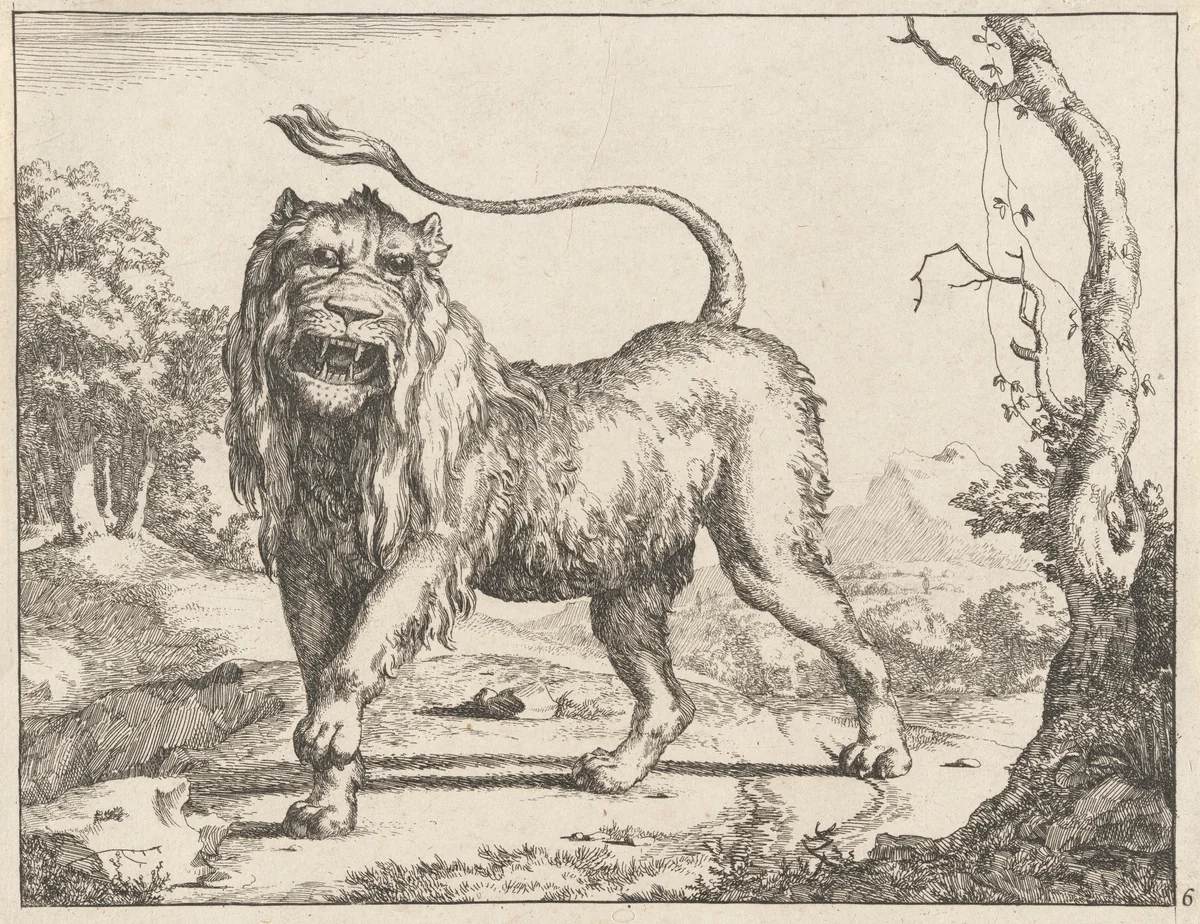 Lion by Marcus de Bye; Paulus Potter, print, 1664