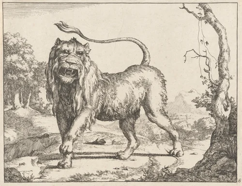 Lion by Marcus de Bye; Paulus Potter, print, 1664