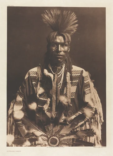 Portfolio VI, Plate 208: A Piegan Dandy by Edward Curtis, other, 1900