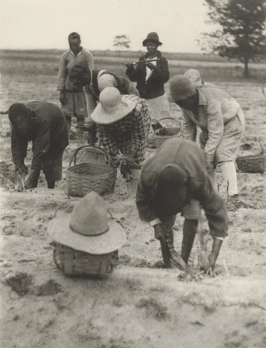 Untitled by Doris Ulmann, photograph, 1929