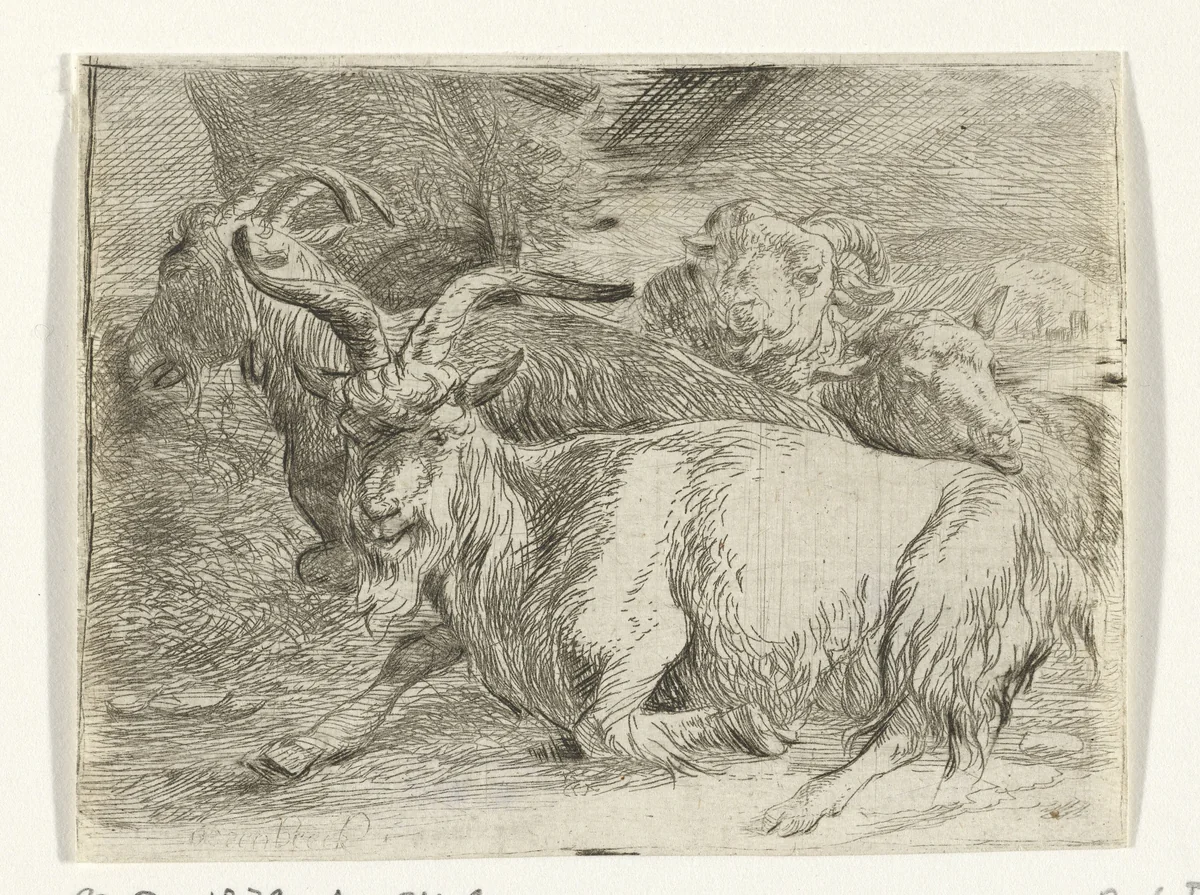 Twee geiten en twee schapen by Jan van Ossenbeeck, print, 1647-1674