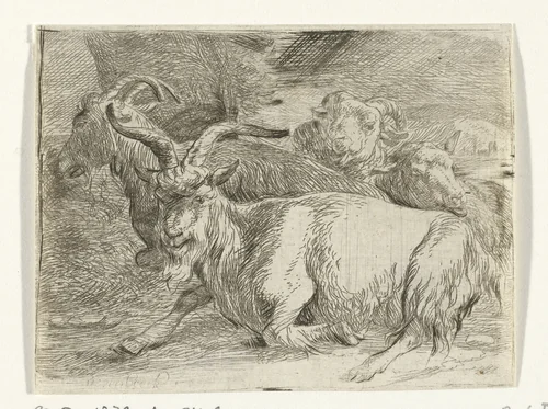 Twee geiten en twee schapen by Jan van Ossenbeeck, print, 1647-1674