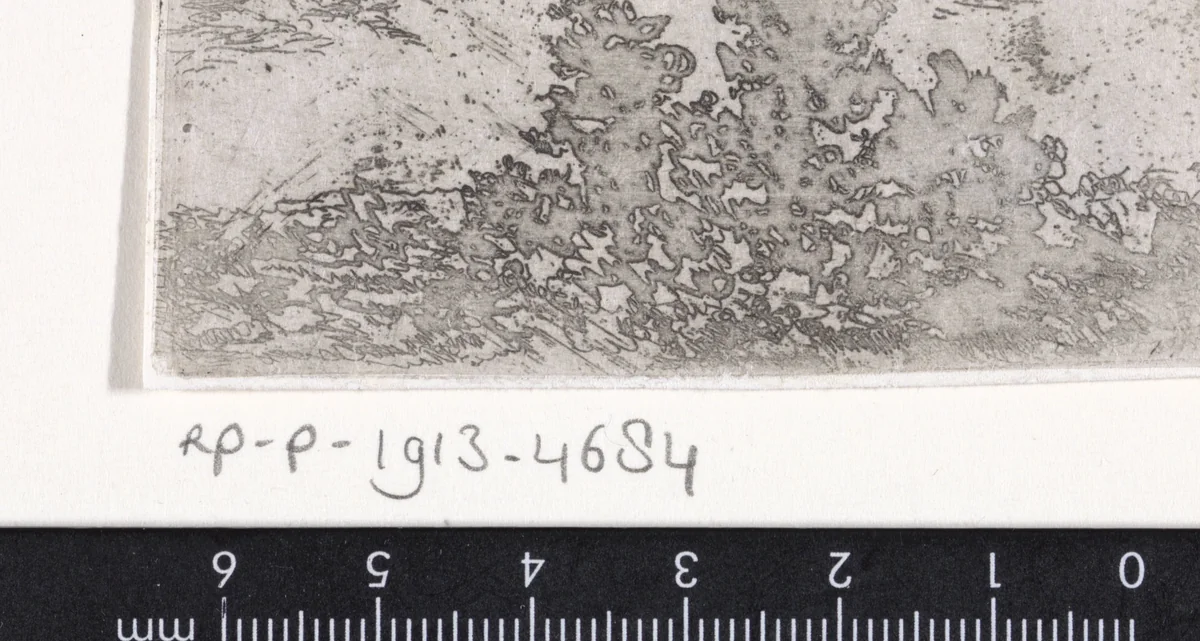 Boomgroep in een landschap by Arnoud Schaepkens, print, 1855-1904