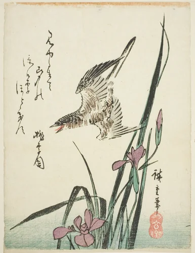 Cuckoo flying over iris by Utagawa Hiroshige (歌川広重), print, 1830-1839