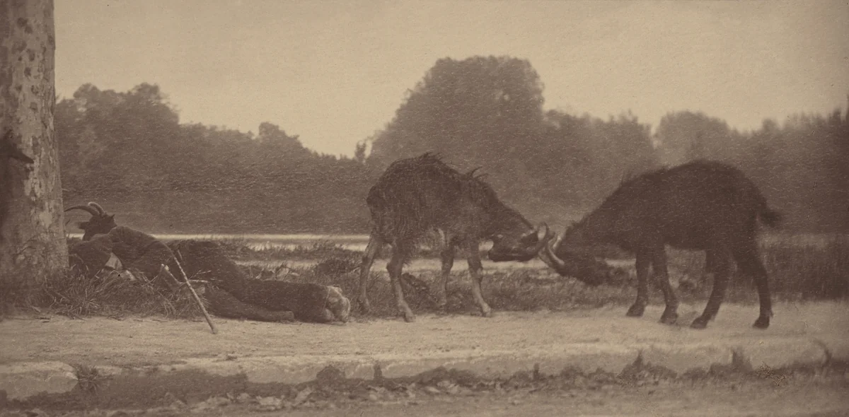 Along the Seine by Alfred Stieglitz, photograph, 1894