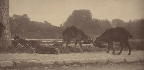 Along the Seine by Alfred Stieglitz, photograph, 1894