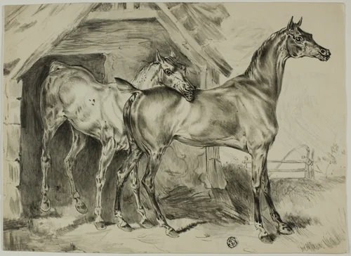 Standing Mare and Colt by Unknown Artist, drawing, 1800-1899