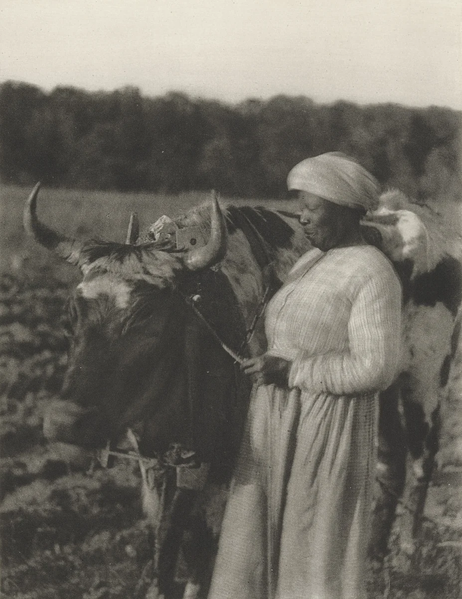 Untitled by Doris Ulmann, photograph, 1929