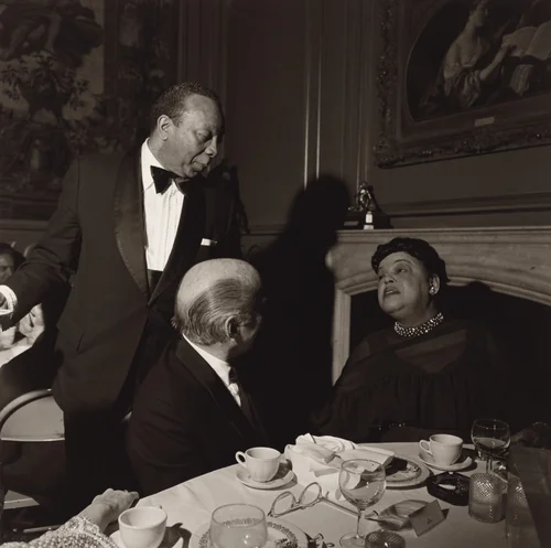 Benefit, The Corcoran Gallery of Art, Washington, D.C. by Larry Fink, photograph, 1975