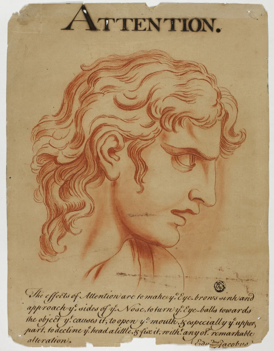 Attention by Charles Le Brun, drawing, 1698-1799