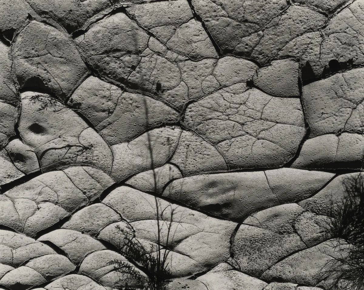 Mud Crack by Brett Weston, photograph, 1954