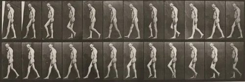 Plate Number 555. Muscular atrophy of legs, adult, walking by Eadweard Muybridge, photograph, 1887