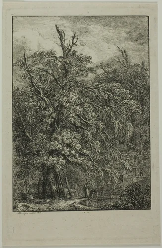 Great Tree by Domenico Quaglio, print, 1809