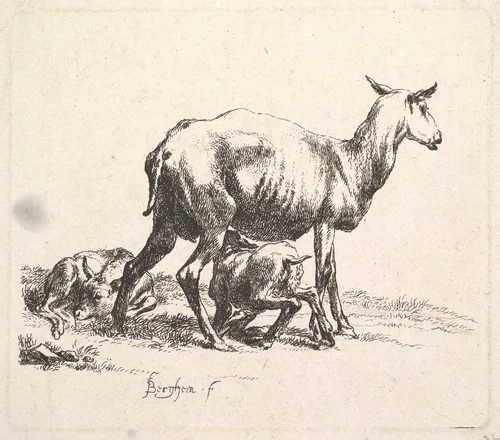 Sheep with Lamb Nursing by Nicolaes Berchem, print, 1635-1683