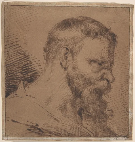 Bearded Head, Looking Down to the Right by Jacques de Gheyn, drawing, 1620-1630