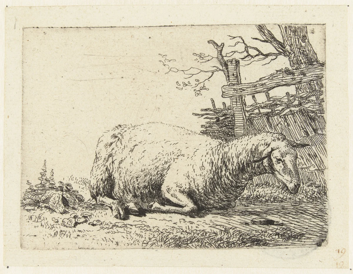 Schaap bij een gevlochten hek by Karel du Jardin, print, 1652-1659
