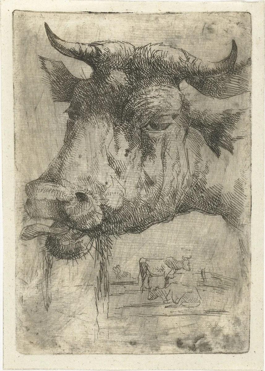 Kop van een koe met tong uit bek by Dirk Dirksen, print, 1821-1882