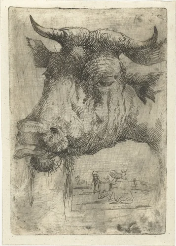 Kop van een koe met tong uit bek by Dirk Dirksen, print, 1821-1882