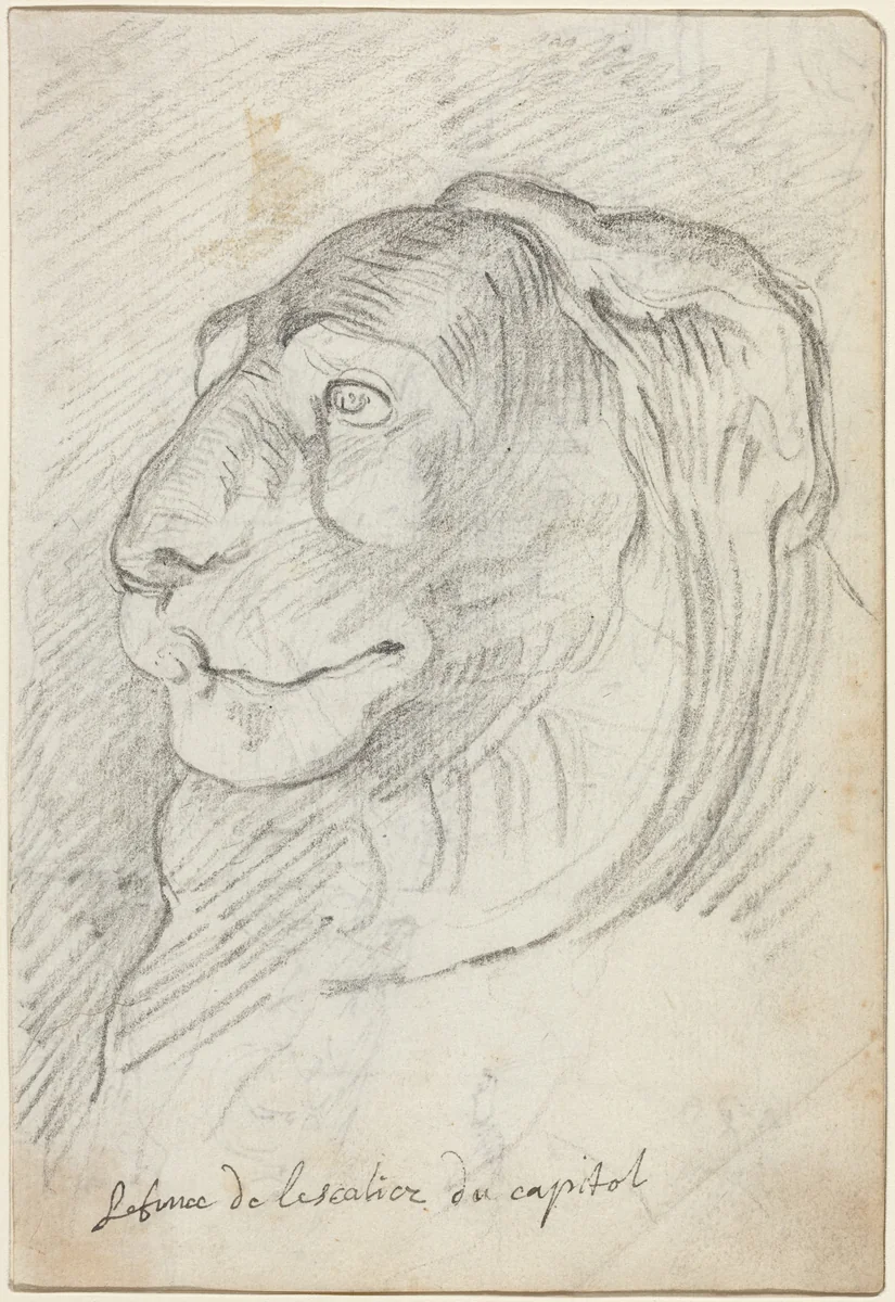 Lion's Head from the Capitoline Staircase by Augustin Pajou, drawing, 1752-1756