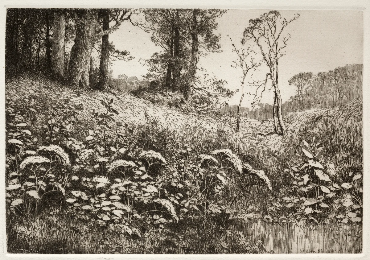 A Summer Afternoon by Elis F. Miller, print, 1882