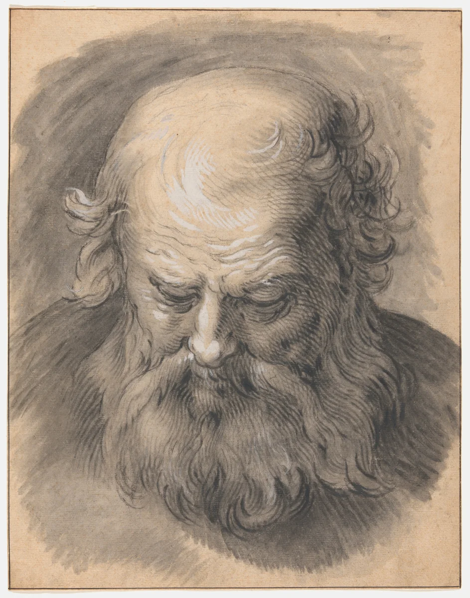 Study of the Head of a Bearded Man by Abraham Bloemaert, drawing, 1595-1605