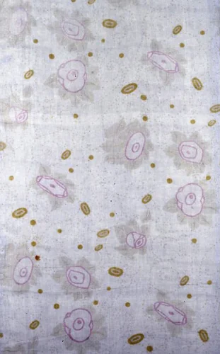 Panel (Dress or Furnishing Fabric) by Wiener Werkstätte, textile, 1903-1905