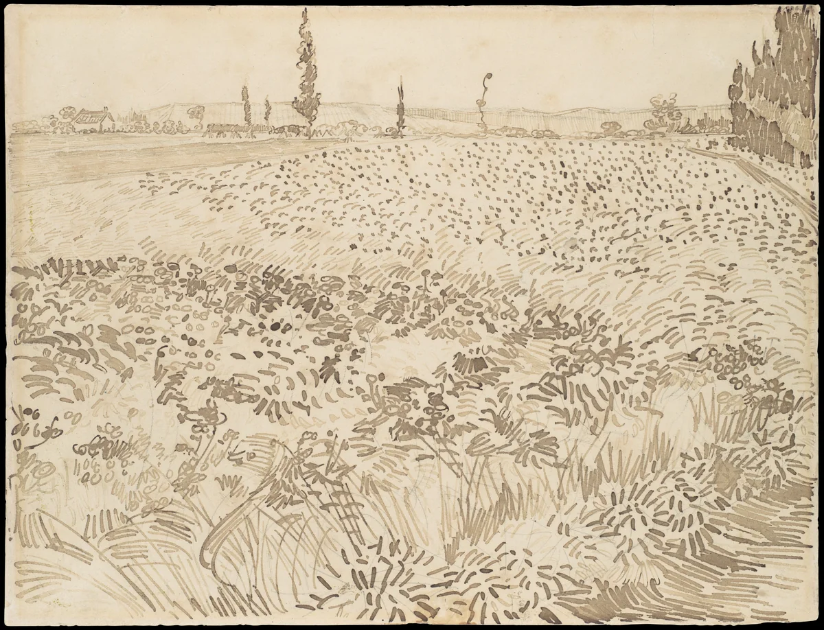 Wheat Field by Vincent van Gogh, drawing, 1888