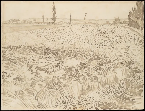 Wheat Field by Vincent van Gogh, drawing, 1888