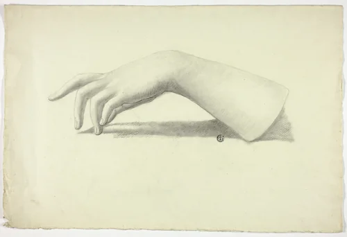 Left Forearm and Hand by Elizabeth Murray, drawing, 1835-1882