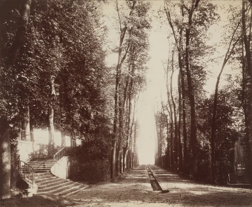 Parc de Saint-Cloud by Eugène Atget, photograph, 1904