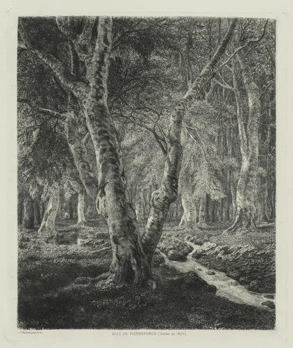 Bois de Pierrefonds by Adolphe Potémont, print, 1874