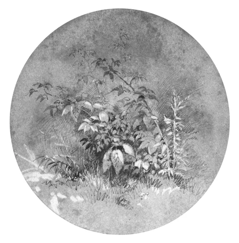 Study of Ground Foliage (from Cropsey Album) by William Trost Richards, artwork, 1833-1905