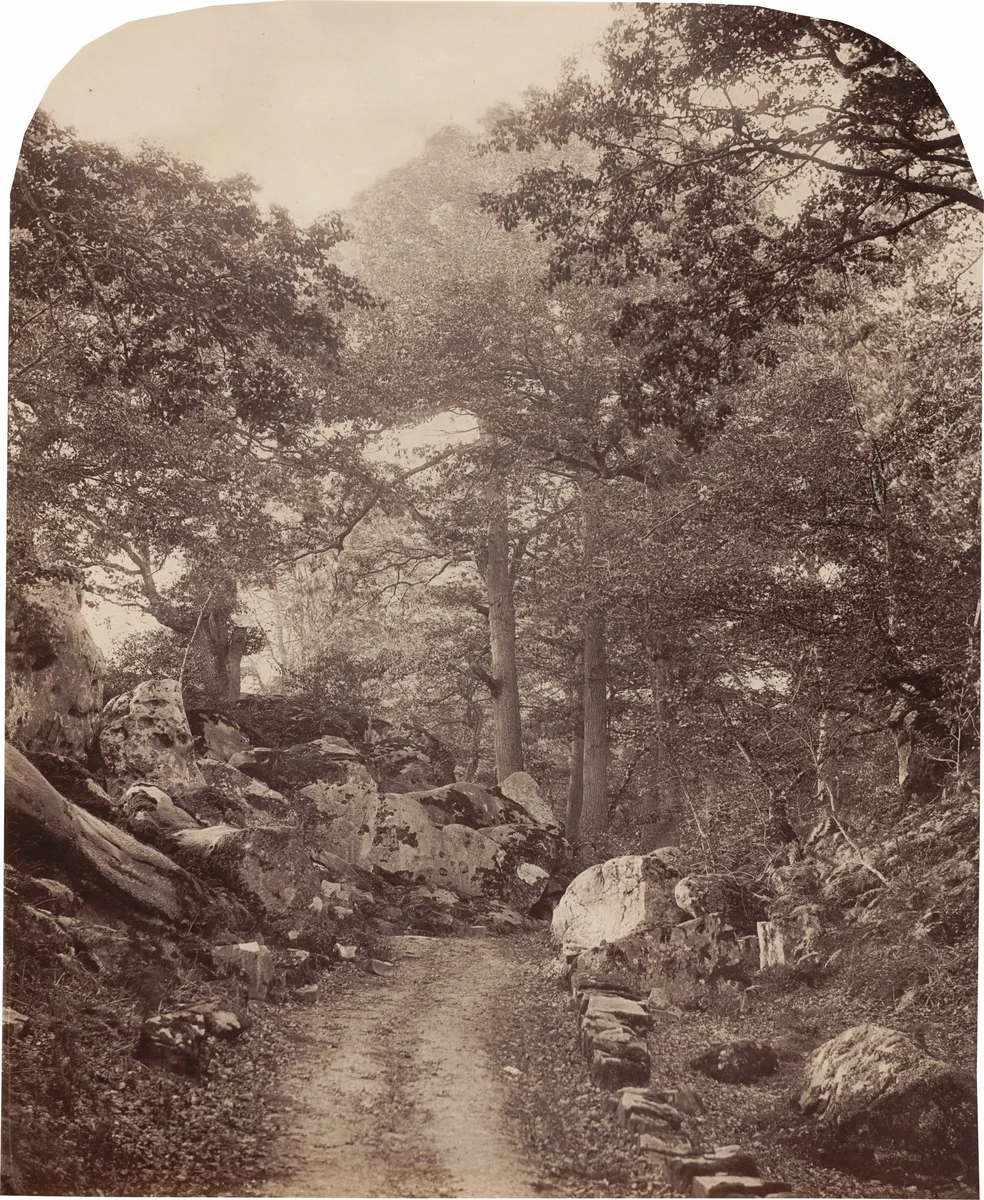 Fontainebleau by Alphonse Jeanrenaud, photograph, 1861-1869