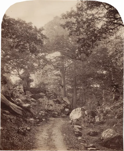 Fontainebleau by Alphonse Jeanrenaud, photograph, 1861-1869