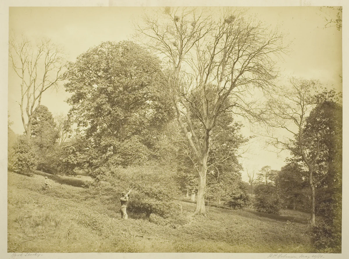 Rook Shooting by Henry Peach Robinson, photograph, 1881
