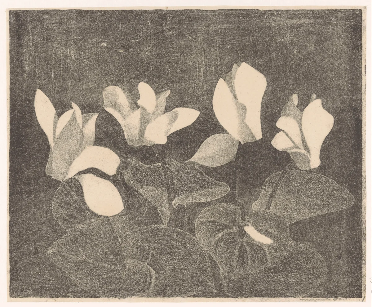 Cyclamen by Samuel Jessurun de Mesquita, print, 1920
