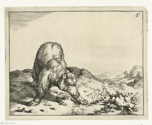 Staande beer, van voren, de voorpoten wijd uiteen by Marcus de Bye, print, 1664