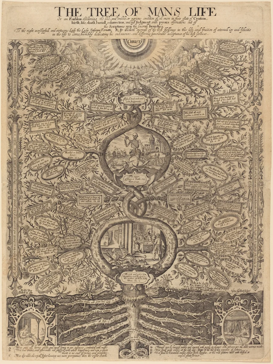 The Tree of Man's Life by John Goddard; Richard Dey; Robert Walton, print, 1637-1700