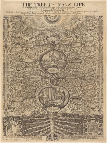 The Tree of Man's Life by John Goddard; Richard Dey; Robert Walton, print, 1637-1700